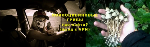 бошки Алексин