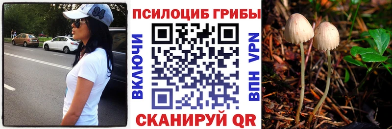 Галлюциногенные грибы GOLDEN TEACHER  Карпинск 